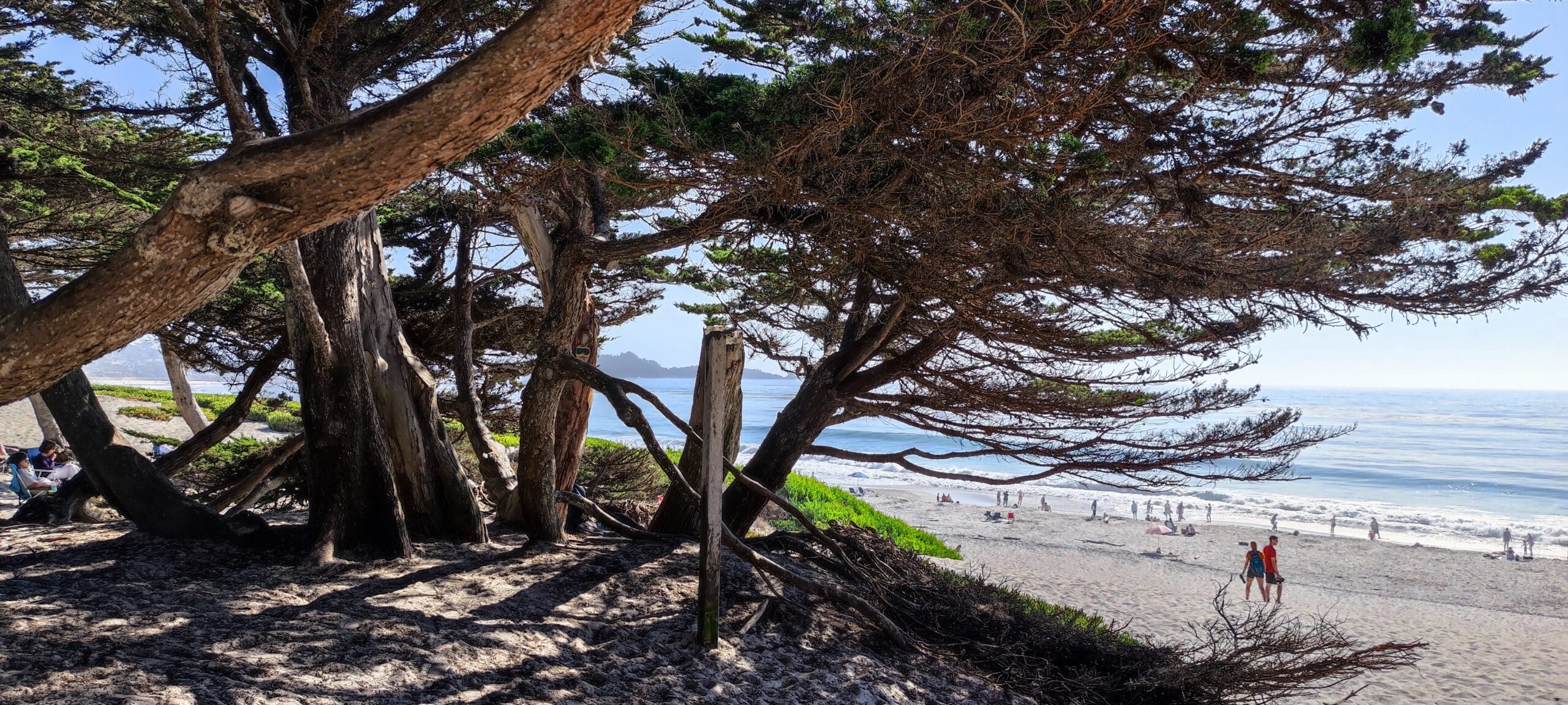 Schwarzwald Idylle in Kalifornien